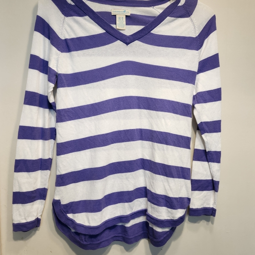 Caribbean Joe Purple and White Striped Long Sleeve Top